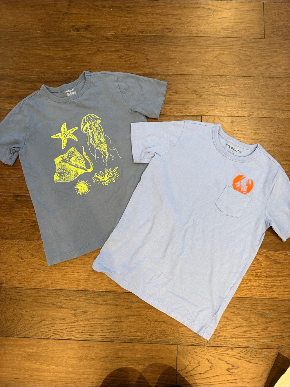 Crewcuts Boys Graphic Blue T-Shirts Size Medium 8/9 - C12-066